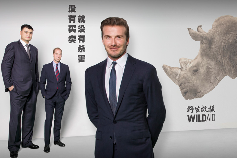 Rhino Demand Reduction, WildAid USA, China and Vietnam