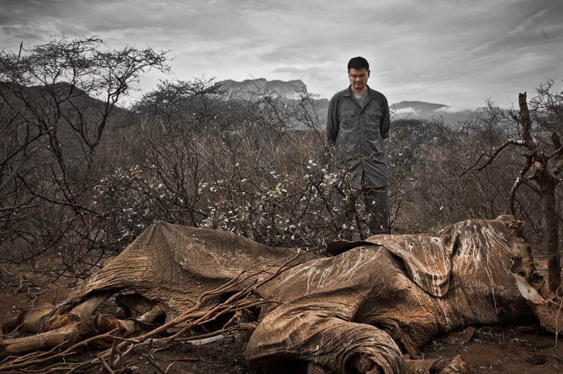 Yao Ming Ivory Documentary, WildAid, China